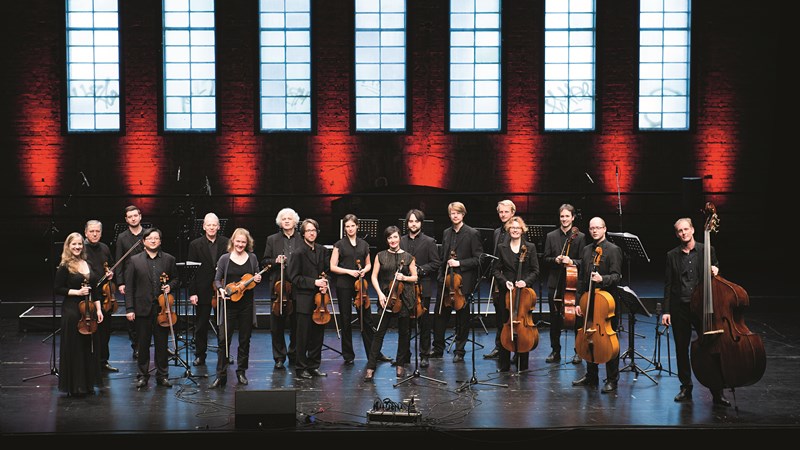 ˹ͼ�������������Զ԰�������ֺ��ִ�������Ʒ�ľ�տڹ������������̳